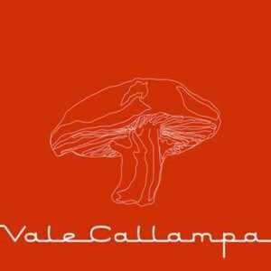 cafe_tacvba-vale_callampa-cd