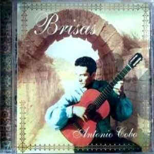 varios-exitos-beat-2004